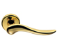 maniglia colombo design oro lucido per porta